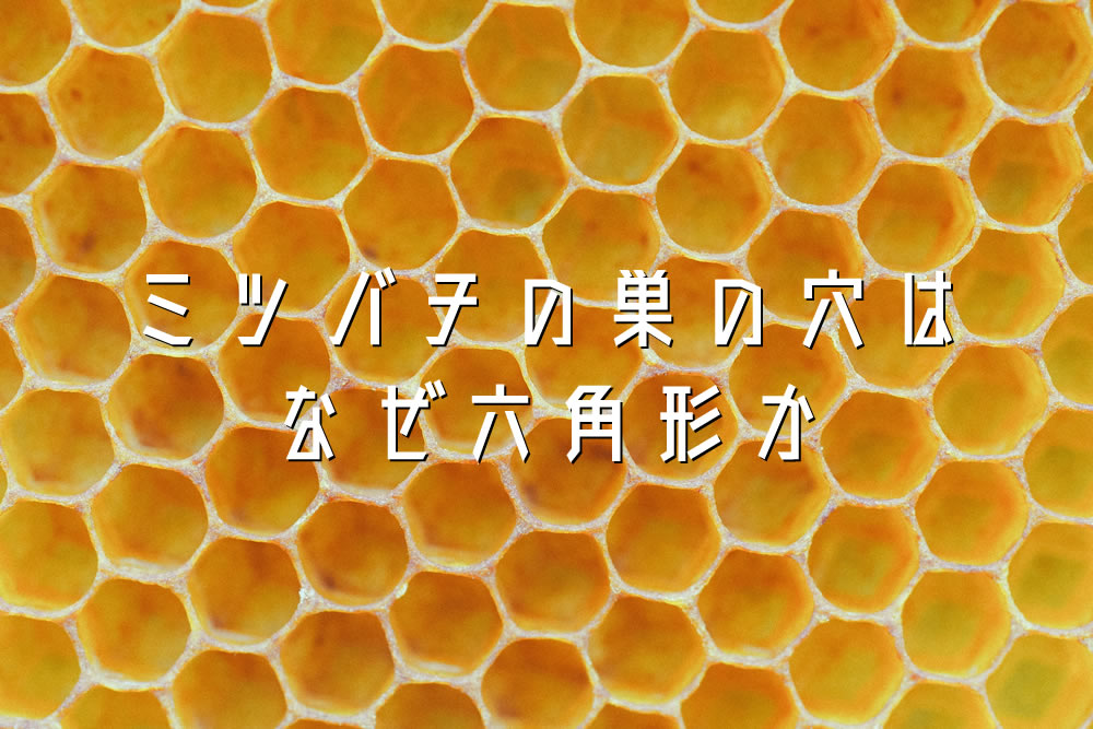 ミツバチの巣の穴はなぜ六角形か